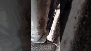 Калина кузов.mp4