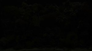 Экзотический аквариум с морской водой в формате 720p.