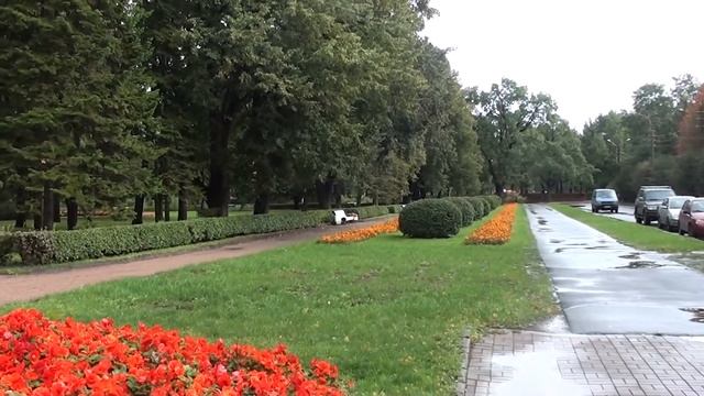 Санкт Петербург 10 2011 197 смотреть онлайн