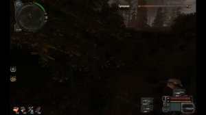 S T A L K E R зов припяти время альянса странный вирус или помощь денису