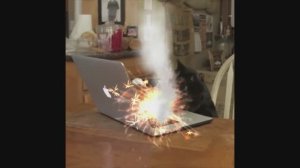 Кошачий  EXTRATON