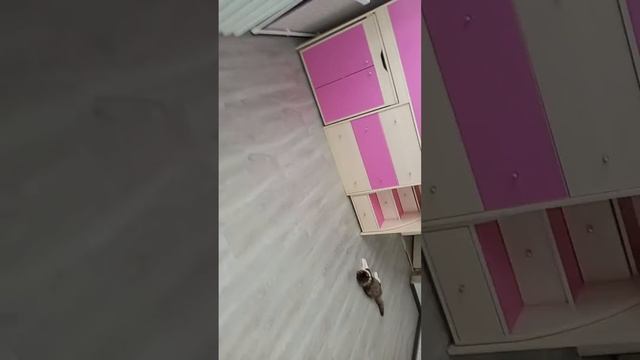 2 февраля 2022 г. смотреть онлайн