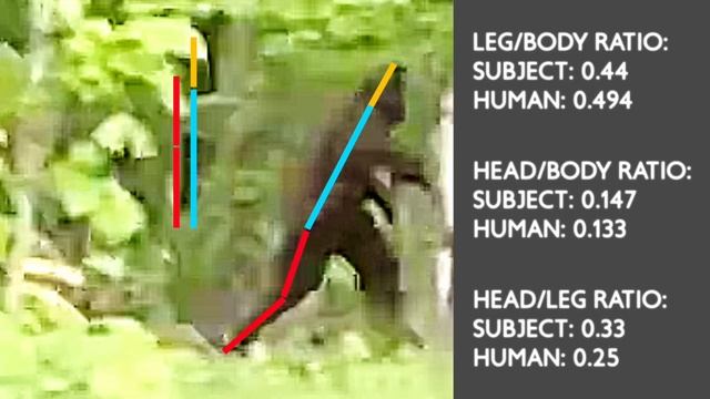 Lake Sysladobsis Bigfoot Video DECODED смотреть онлайн