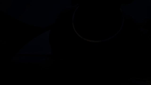 Белое море 2024 смотреть онлайн