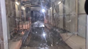 Камаз 53212 Зерновоз, Буян в деле ,возим нм Черкизово