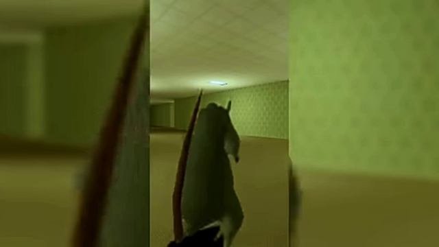 МЫЫШЬ