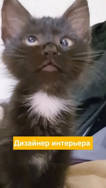 Понимаем вас с полуслова и готовы предложить лучший для вас вариант 😉