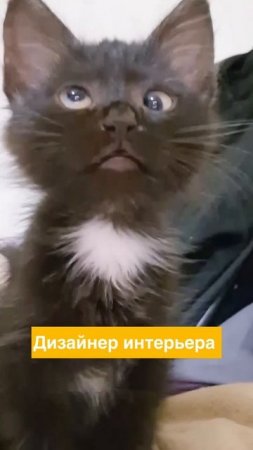 Понимаем вас с полуслова и готовы предложить лучший для вас вариант 😉