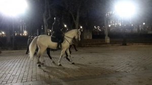 Ночной Мадрид. Конная полиция