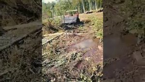 Тт 4 Летняя заготовка