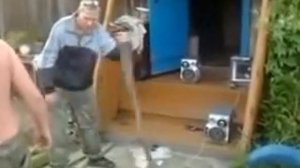 Три аккорда и фаталити лопатой!