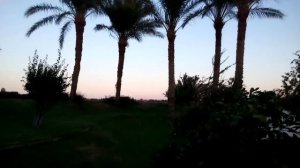 Территория отеля. Египет Pyramisa Sahl Hasheesh Beach Resort 5*