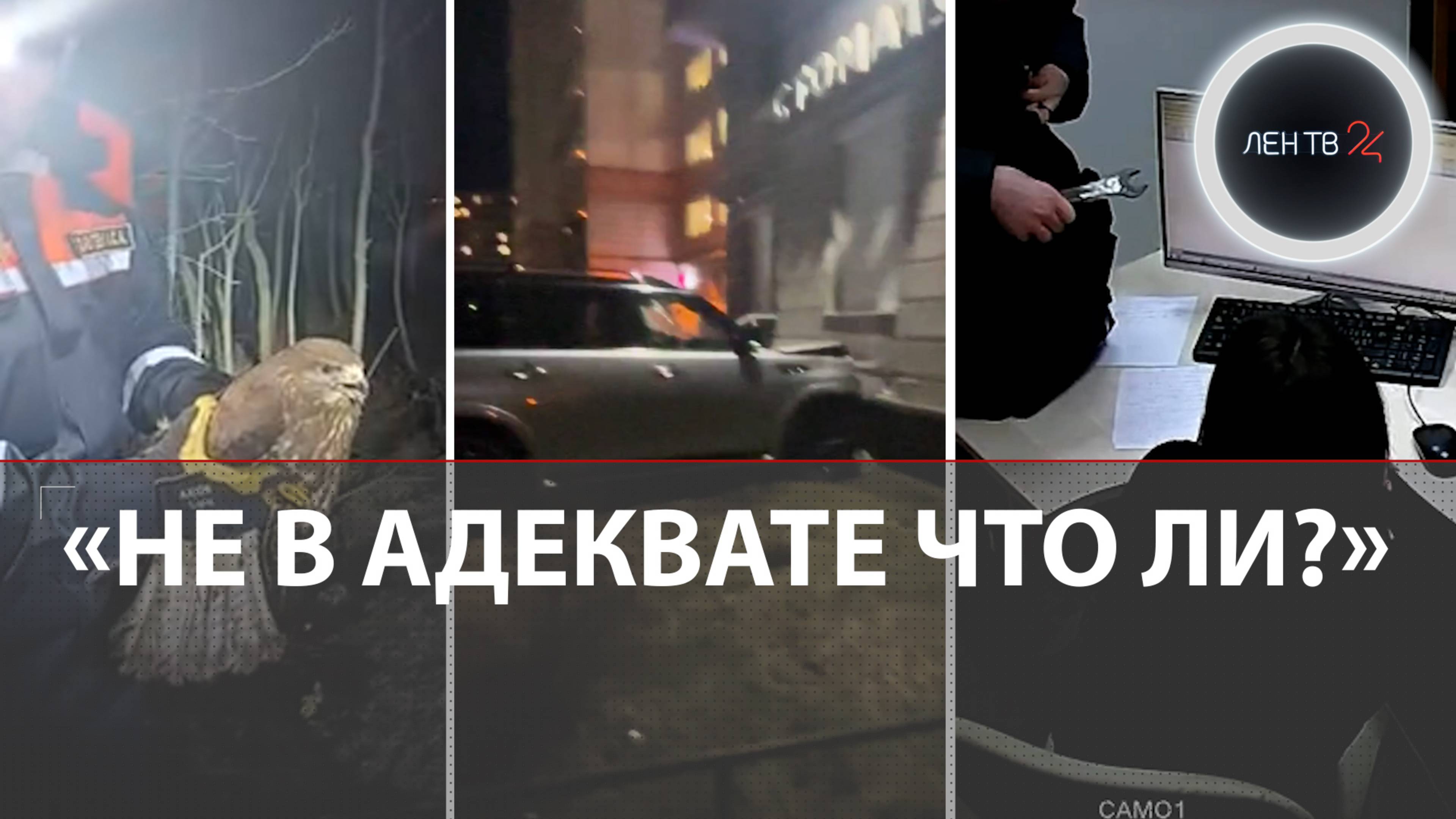 Снес 7 машин и влетел в стоматологию | Восьмиклассник ограбил «микрозаймы» | Ленобласть показала