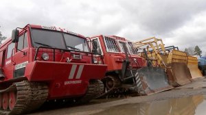 Из-за аномального тепла сложную ситуацию с пожарами прогнозируют в некоторых российских регионах