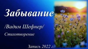 Забывание /Вадим Шефнер. Запись 2022 г./