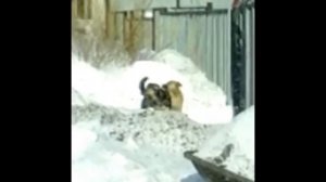 Трах трах трах!!!!!!!!!!!!