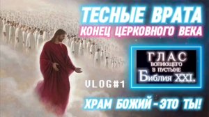 ТЕСНЫЕ ВРАТА. (Библия. Перезагрузка XXI.)