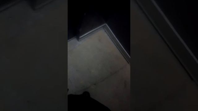 электрический лифт V=1m/s 500kg смотреть онлайн