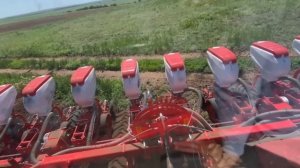 Пропашная сеялка Оздокен в работе!