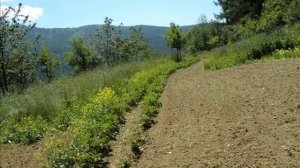 В гостях у Зепа Хольцера.mp4