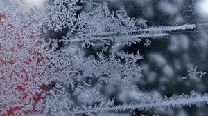 МОРОЗНЫЙ УЗОР НА ОКНАХ ❄️