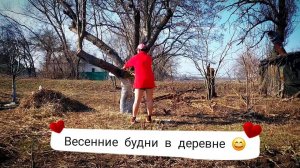 КРУГОМ ОБМАН 😱 Навожу порядок - во саду ли, в огороде 😁