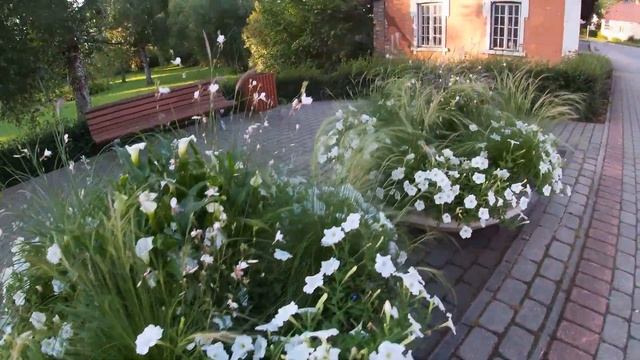 Цветы нашего города. Алуксне. смотреть онлайн