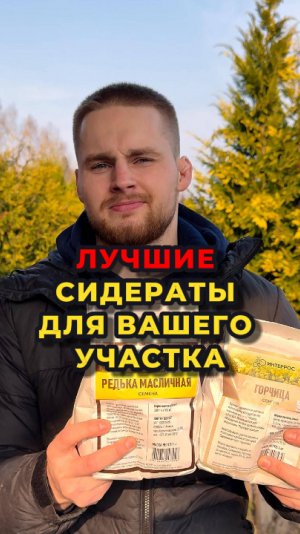 🔥🌱ТОП самых лучший сидератов для вашего участка🌱🔥