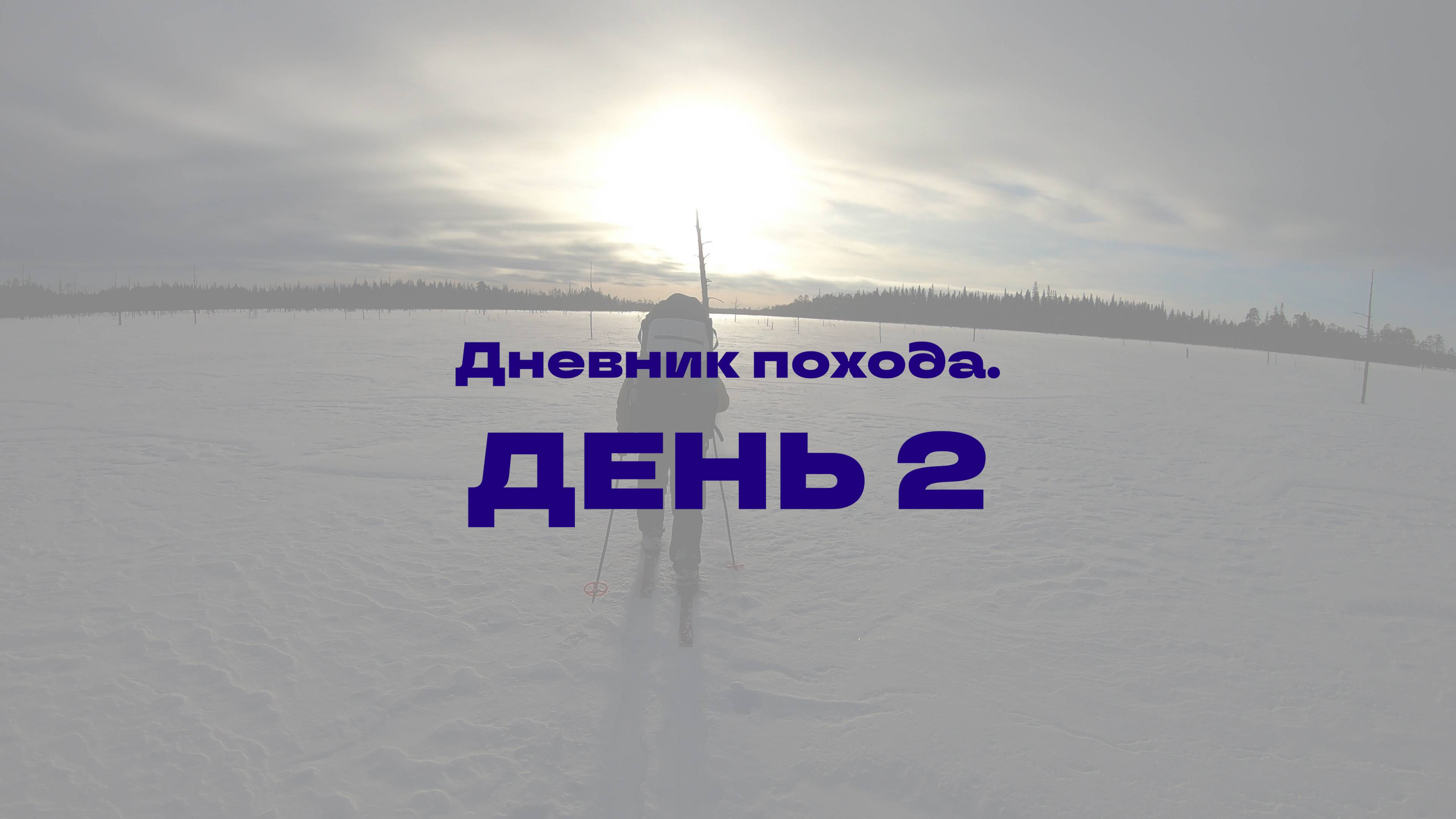 Тайга 2025