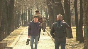 С потеплением набирает оборот сезон аллергии