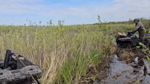 Поездка на берег Драверта