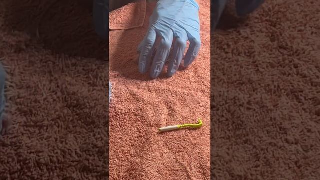 Bernie maman hérisson et 2 petites filles Divine et Volonté sont arrivés au centre SOS HÉRISSON смотреть онлайн