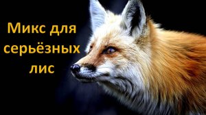 Микс для серьёзных лис №4