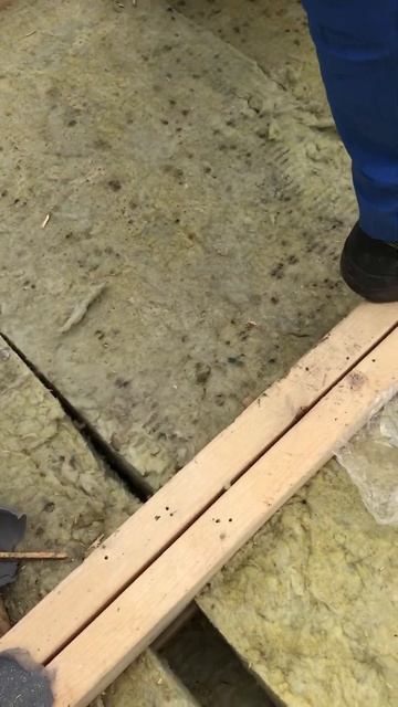 "Важность Паропроницаемости в Кровельной Системе: Почему Грибы Появляются"