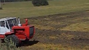 Дискування  поля трактором Т-150к з дисковою бороною БДТ 7