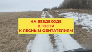 На Вездеходе Еду к Фотоловушке, Новые Лесные Артисты Пришли Позировать