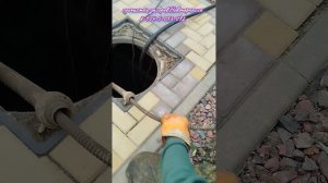 Помидорные магнаты опять в тренде.