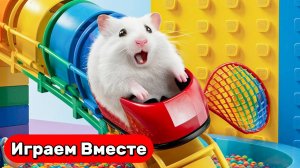 Лабиринт для ХОМЯКА ! Умный Хомяк выбирается из СЛОЖНЕЙШЕГО ЛАБИРИНТА С ЛОВУШКАМИ !