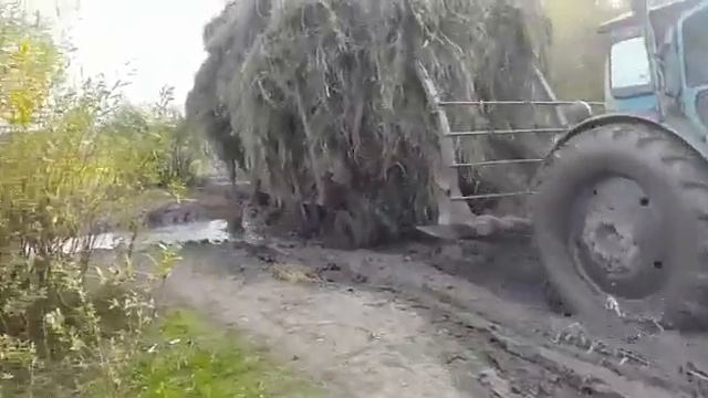 Трактор хтз Т 40 грязь з трьома прицепами сена