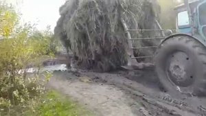 Трактор хтз Т 40 грязь з трьома прицепами сена