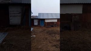1000004864.mp4