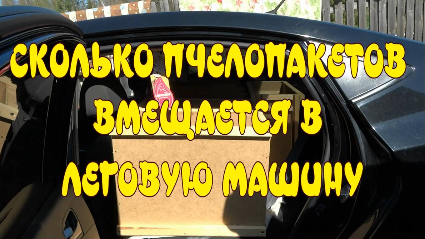 СКОЛЬКО ПЧЕЛОПАКЕТОВ ВМЕЩАЕТСЯ В ЛЕГКОВУЮ МАШИНУ смотреть онлайн