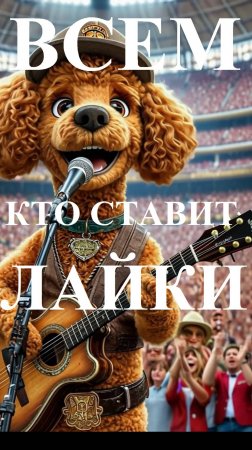 Всем кто ставит лайки. #стихи#студияРубикон#видео#анимация#лайки#репост#пост#пудель#мульт#мультик