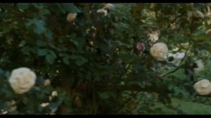 Нежность (La delicatesse, 2011)