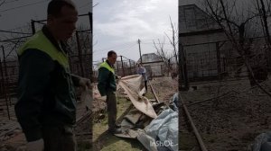 Сегодня снимали пленки с персиковых деревьев