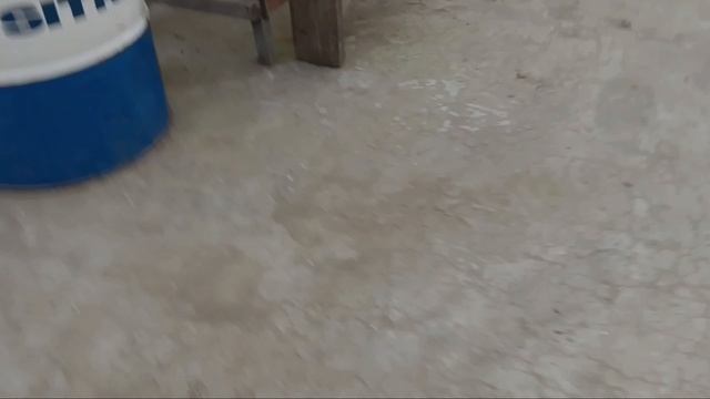 Маньяк Антон создал опасный вирус! |Мой брат стал зомби 😭 смотреть онлайн