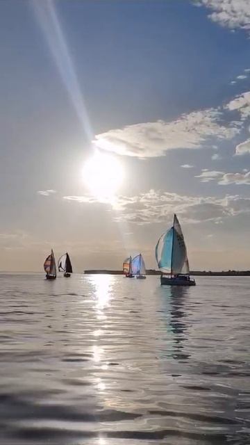 Волжская регата.mp4 смотреть онлайн