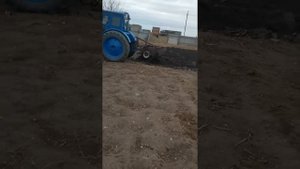 вспашка огорода, трактором Т40, плуг ПЛН2*35