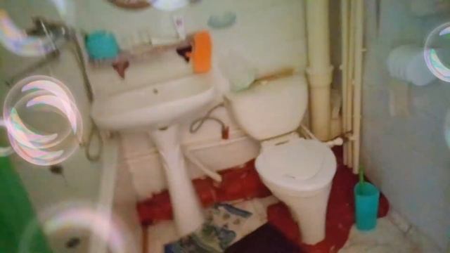 Отдых в чажемто 😏😸 смотреть онлайн