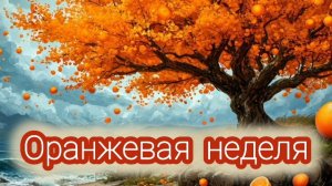 СП "РАДУГА 3" отчет 2 Оранжевая неделя. участник 25